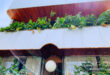 5 homestay vũng tàu