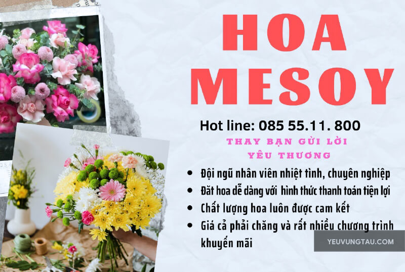 Shop Hoa Melosy